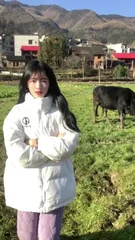 幻世录2完美攻略